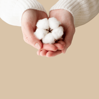 Pflegeseife Rheinperle Malve/Fresh Cotton - BringtFreude