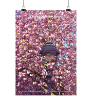 A4 Print Cherry Blossom Bonn - Poster Din A4 (hoch)- Bringt Freude